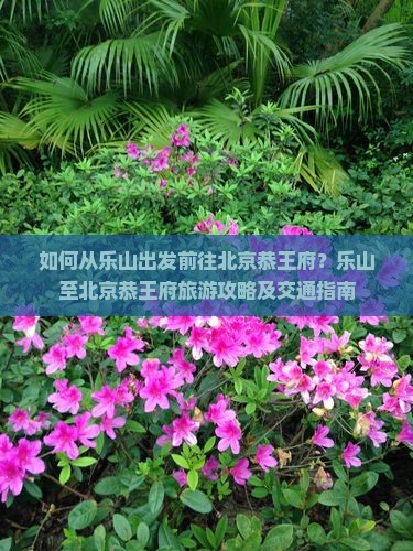 如何从乐山出发前往北京恭王府？乐山至北京恭王府旅游攻略及交通指南