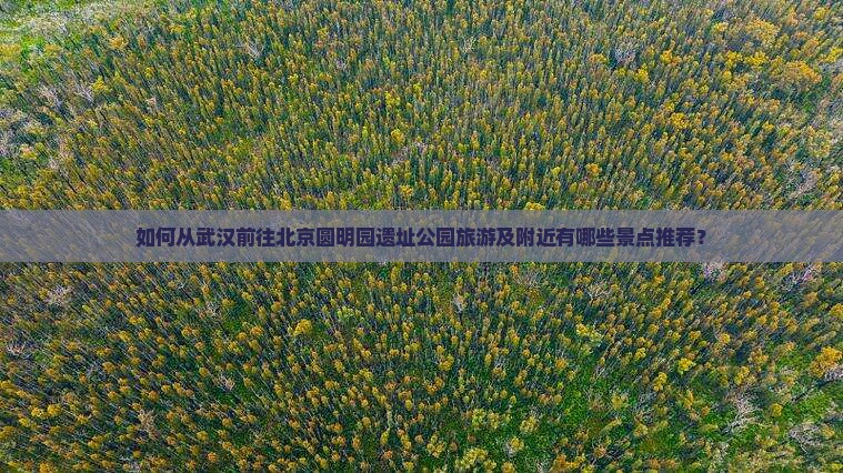 如何从武汉前往北京圆明园遗址公园旅游及附近有哪些景点推荐？