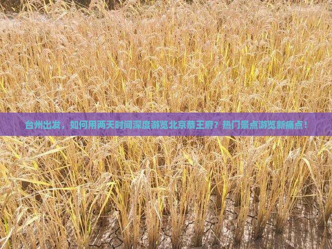 台州出发，如何用两天时间深度游览北京恭王府？热门景点游览新痛点！