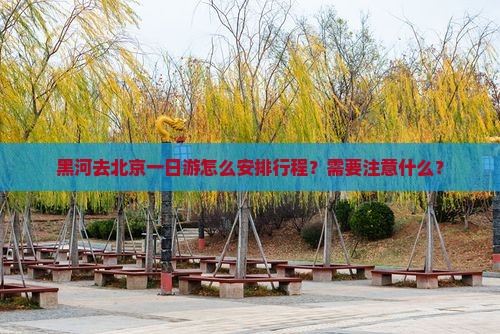 黑河去北京一日游怎么安排行程？需要注意什么？