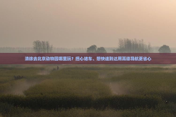 清徐去北京动物园哪里玩？担心堵车、想快速到达用高德导航更省心