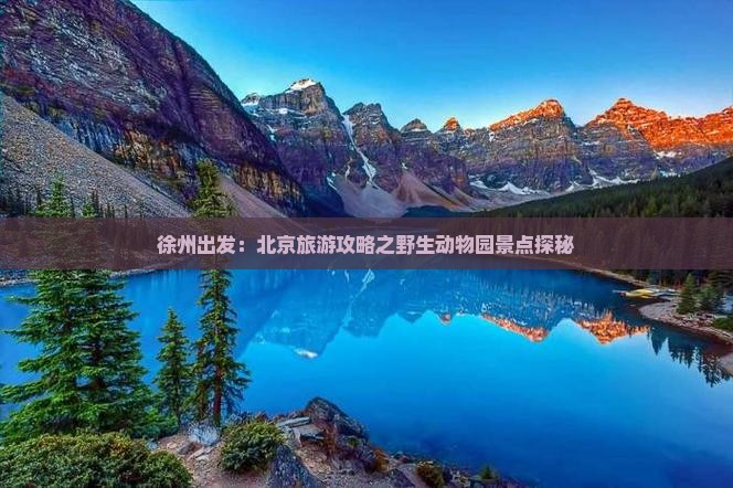 徐州出发：北京旅游攻略之野生动物园景点探秘