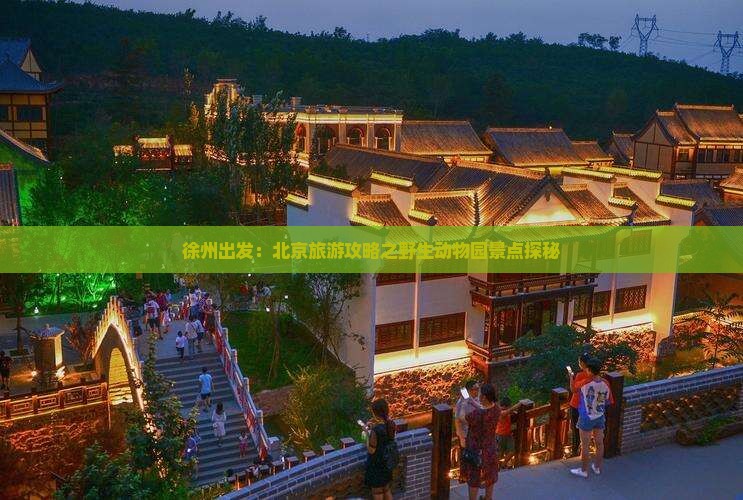 徐州出发：北京旅游攻略之野生动物园景点探秘