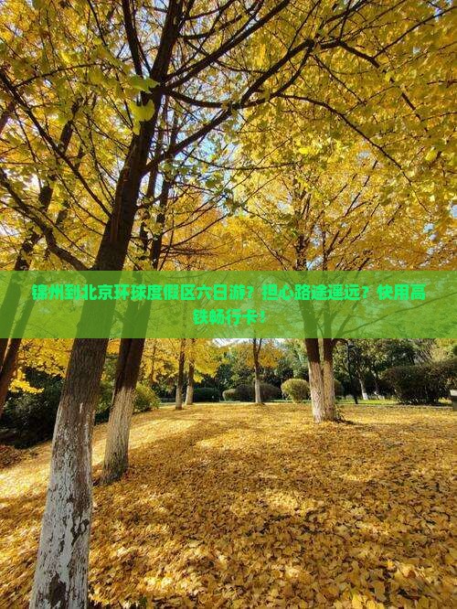 锦州到北京环球度假区六日游？担心路途遥远？快用高铁畅行卡！