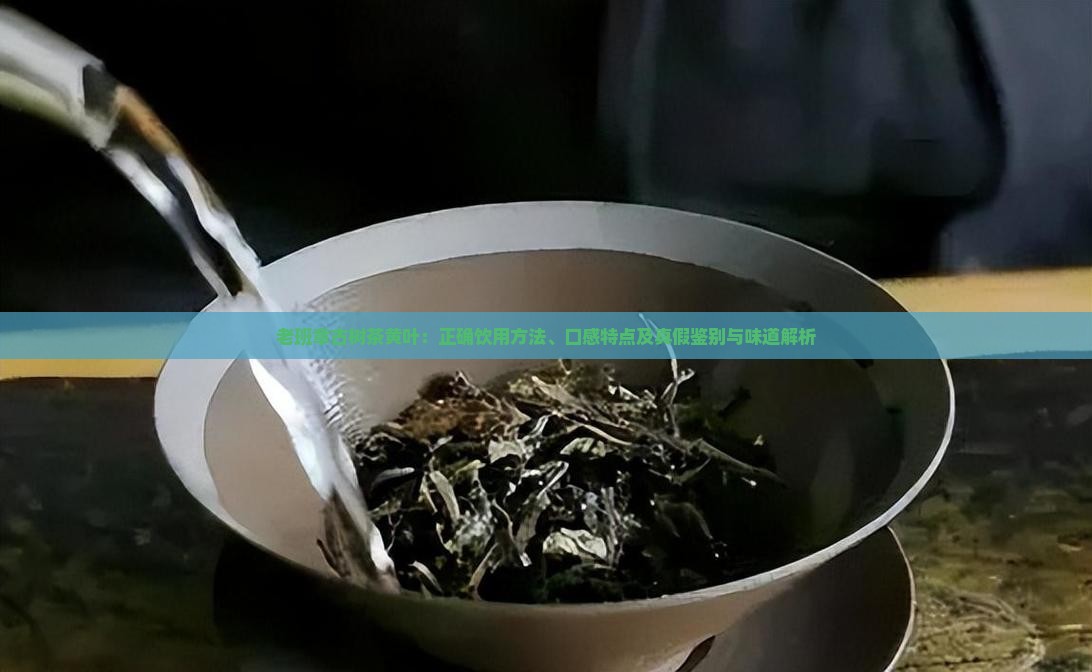 老班章古树茶黄叶：正确饮用方法、口感特点及真假鉴别与味道解析