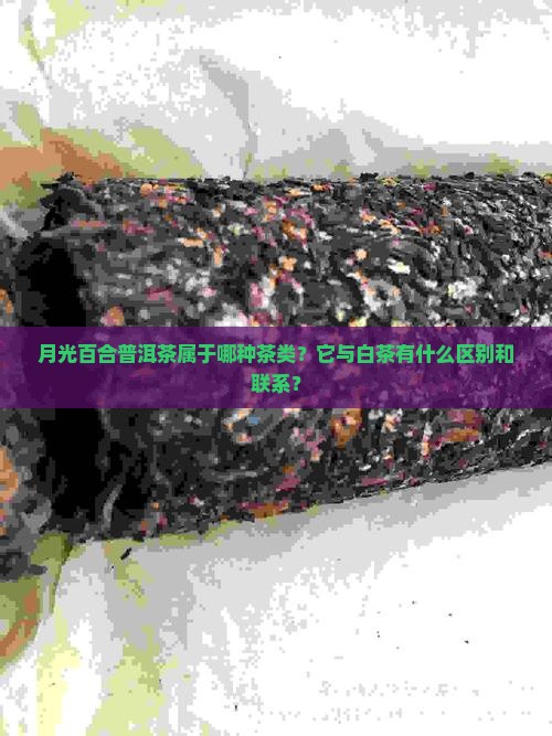 月光百合普洱茶属于哪种茶类？它与白茶有什么区别和联系？