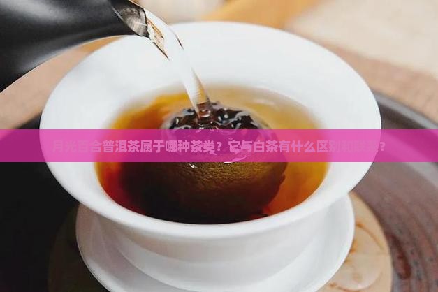 月光百合普洱茶属于哪种茶类？它与白茶有什么区别和联系？