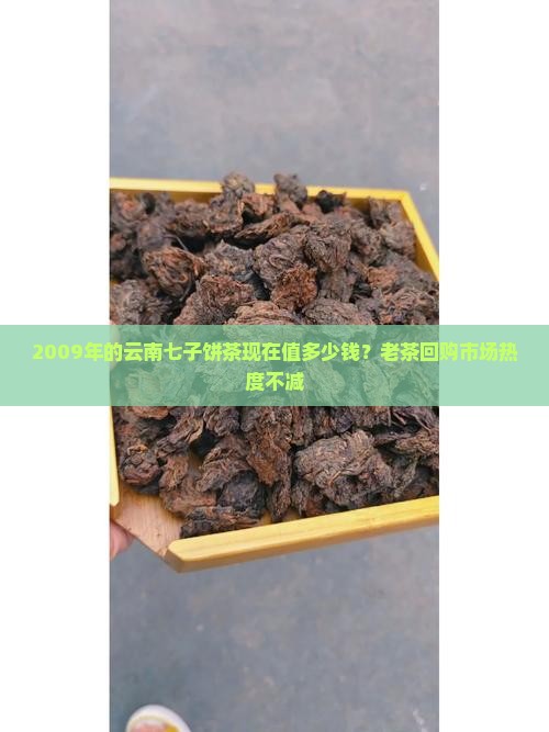2009年的云南七子饼茶现在值多少钱？老茶回购市场热度不减