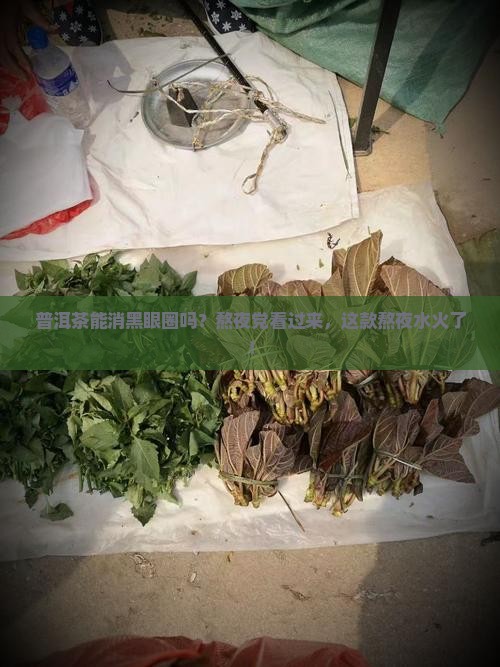普洱茶能消黑眼圈吗？熬夜党看过来，这款熬夜水火了！