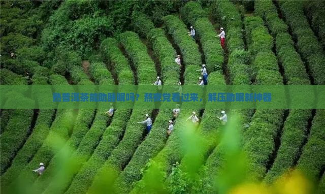 熟普洱茶能助睡眠吗？熬夜党看过来，解压助眠新神器