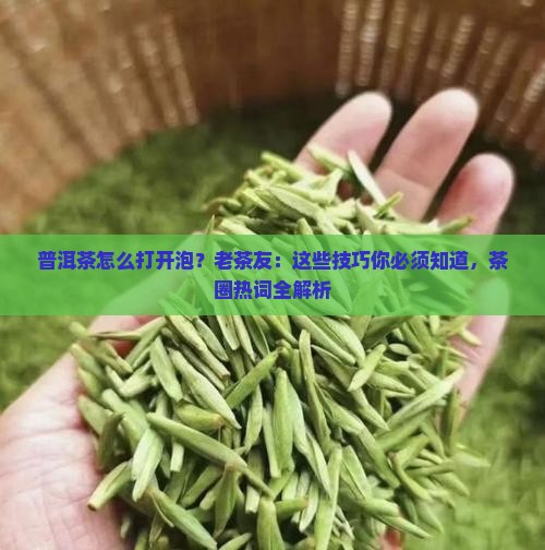 普洱茶怎么打开泡？老茶友：这些技巧你必须知道，茶圈热词全解析