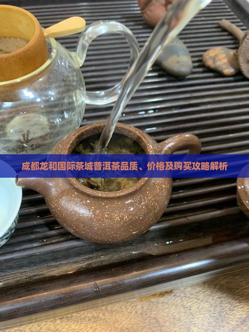 成都龙和国际茶城普洱茶品质、价格及购买攻略解析