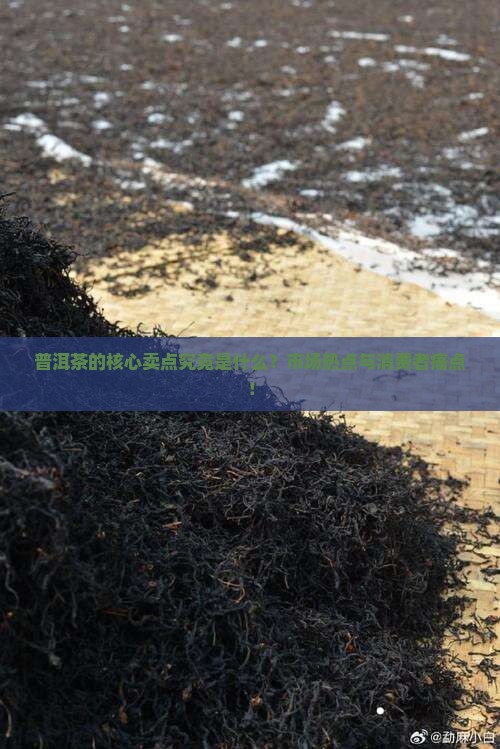 普洱茶的核心卖点究竟是什么？市场热点与消费者痛点！