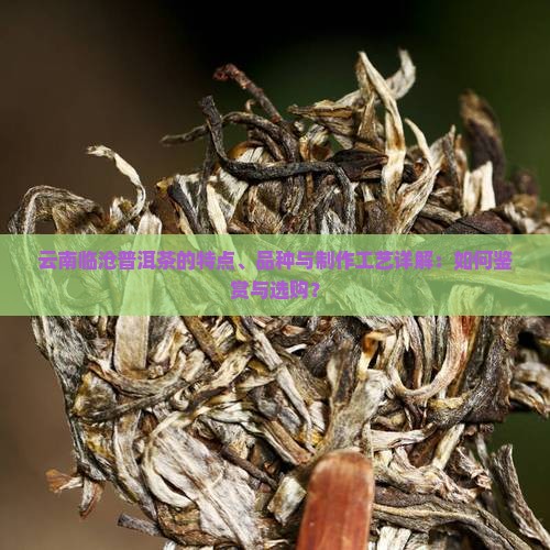 云南临沧普洱茶的特点、品种与制作工艺详解：如何鉴赏与选购？
