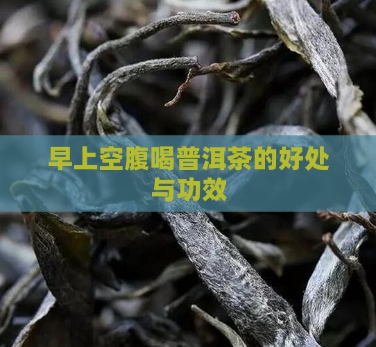 早上空腹喝普洱茶的好处与功效