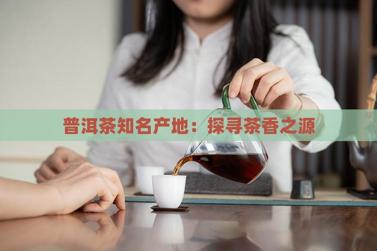 普洱茶知名产地：探寻茶香之源