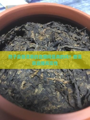 燕子卖普洱茶的直播间是真的吗？普洱茶直播真实性