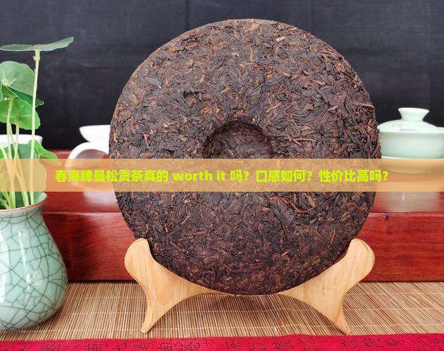 春海牌曼松贡茶真的 worth it 吗？口感如何？性价比高吗？