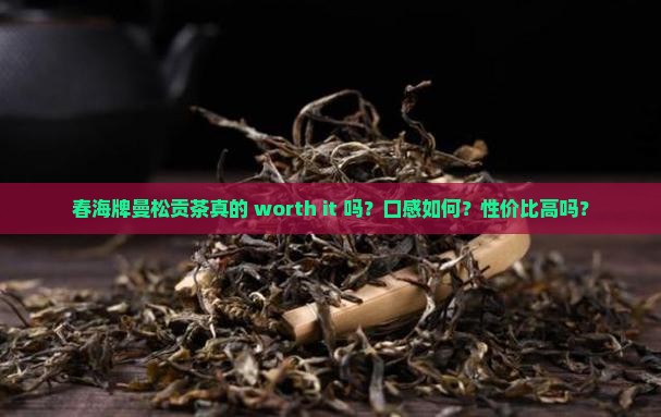 春海牌曼松贡茶真的 worth it 吗？口感如何？性价比高吗？