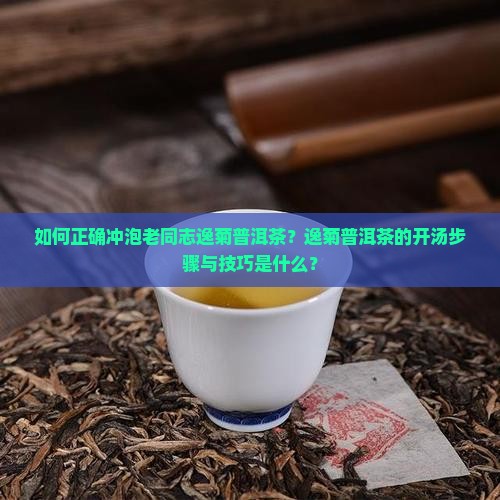 如何正确冲泡老同志逸菊普洱茶？逸菊普洱茶的开汤步骤与技巧是什么？