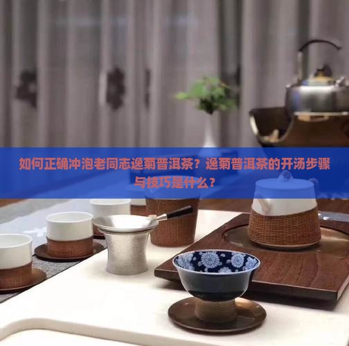 如何正确冲泡老同志逸菊普洱茶？逸菊普洱茶的开汤步骤与技巧是什么？