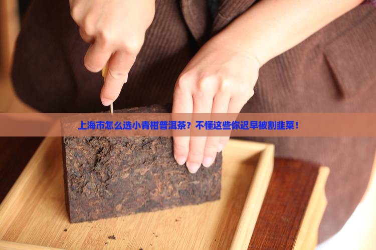 上海市怎么选小青柑普洱茶？不懂这些你迟早被割韭菜！