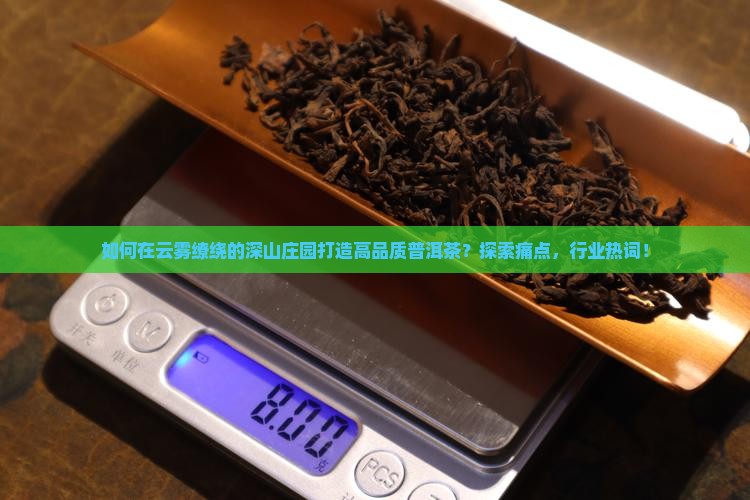 如何在云雾缭绕的深山庄园打造高品质普洱茶？探索痛点，行业热词！