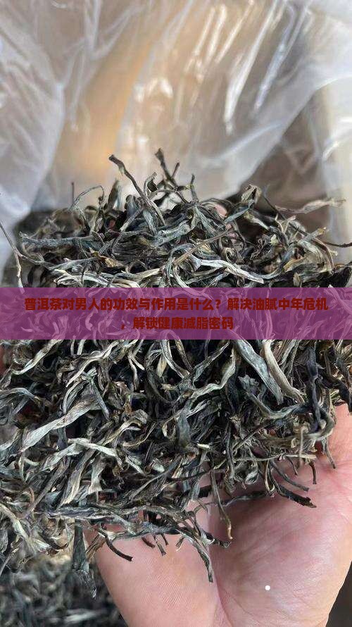 普洱茶对男人的功效与作用是什么？解决油腻中年危机，解锁健康减脂密码