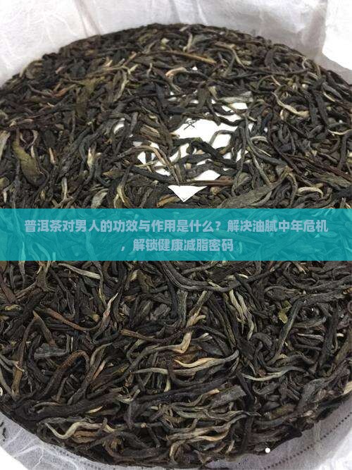 普洱茶对男人的功效与作用是什么？解决油腻中年危机，解锁健康减脂密码