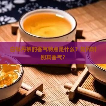 白牡丹茶的香气特点是什么？如何辨别其香气？