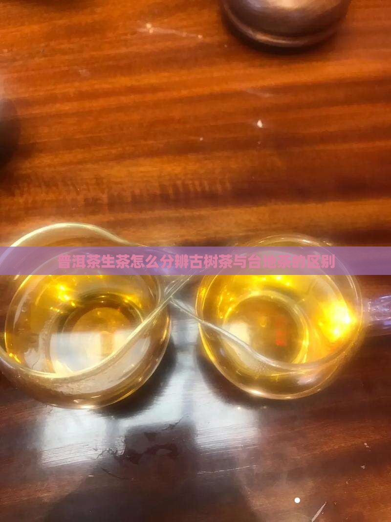 普洱茶生茶怎么分辨古树茶与台地茶的区别