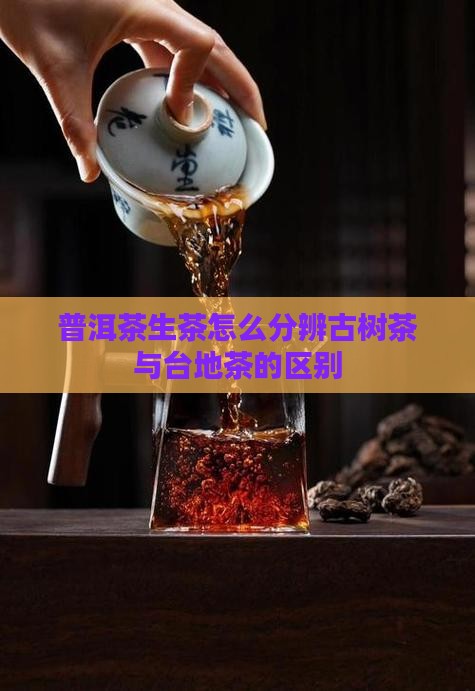 普洱茶生茶怎么分辨古树茶与台地茶的区别