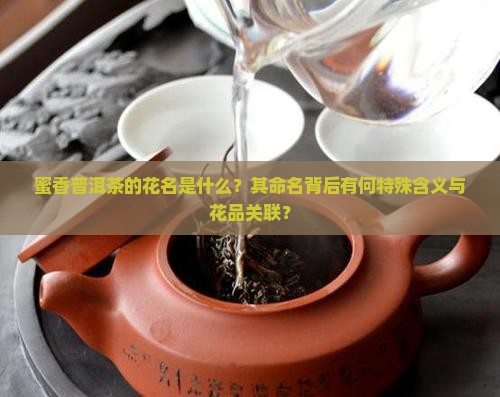 蜜香普洱茶的花名是什么？其命名背后有何特殊含义与花品关联？
