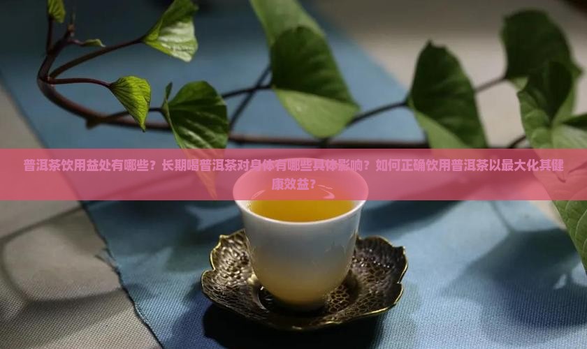普洱茶饮用益处有哪些？长期喝普洱茶对身体有哪些具体影响？如何正确饮用普洱茶以最大化其健康效益？