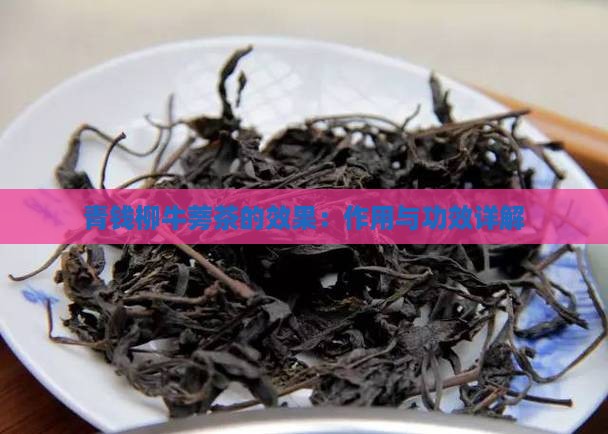青钱柳牛蒡茶的效果：作用与功效详解