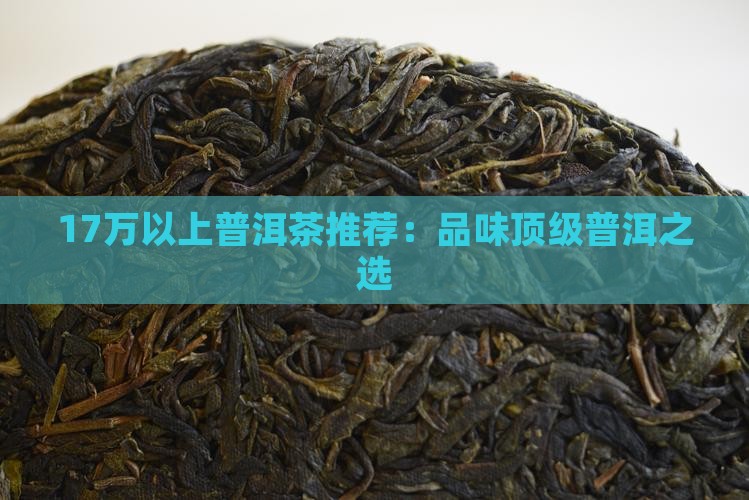 17万以上普洱茶推荐：品味顶级普洱之选