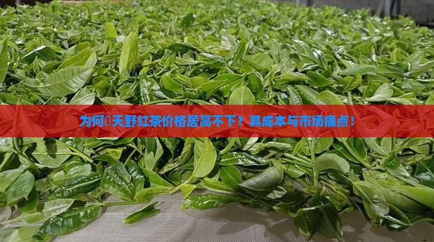为何氿天野红茶价格居高不下？其成本与市场痛点！