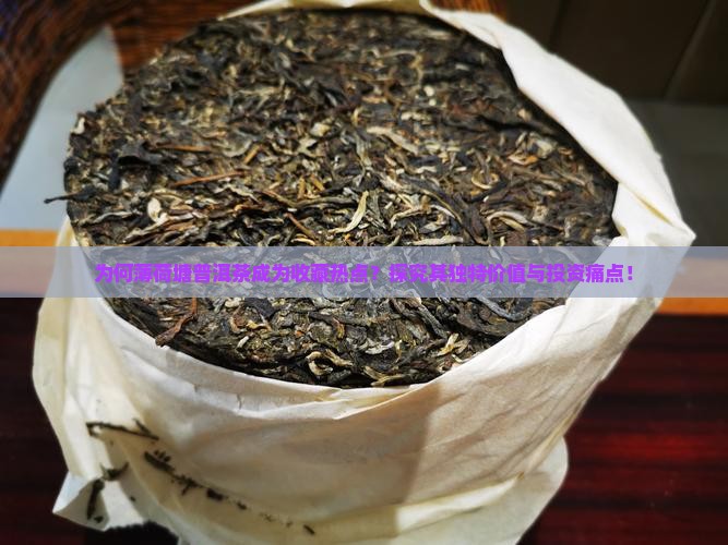 为何薄荷塘普洱茶成为收藏热点？探究其独特价值与投资痛点！
