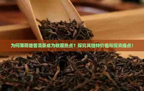 为何薄荷塘普洱茶成为收藏热点？探究其独特价值与投资痛点！