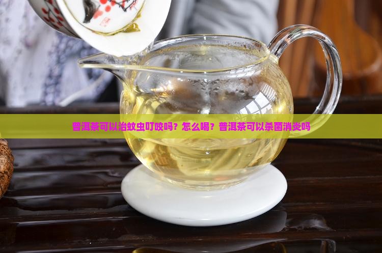 普洱茶可以治蚊虫叮咬吗？怎么喝？普洱茶可以杀菌消炎吗