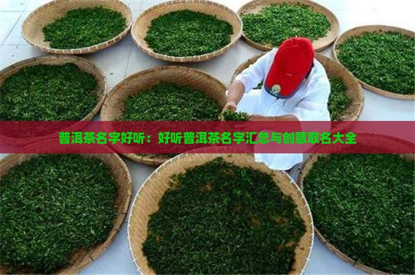 普洱茶名字好听：好听普洱茶名字汇总与创意取名大全