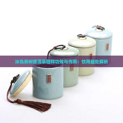 冰岛茶树普洱茶独特功效与作用：饮用益处解析