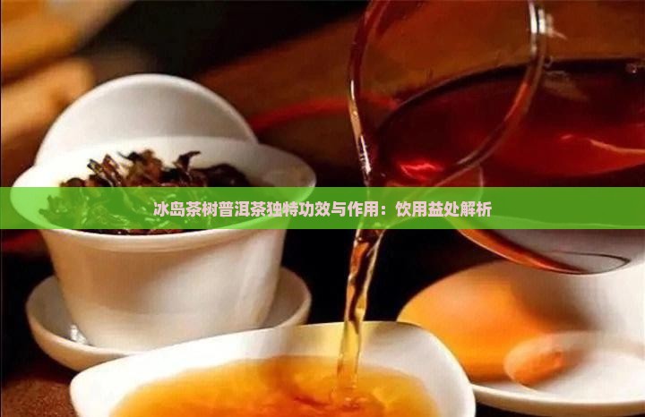 冰岛茶树普洱茶独特功效与作用：饮用益处解析