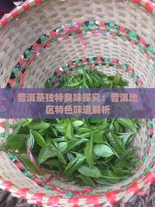 普洱茶独特臭味探究：普洱地区特色味道解析