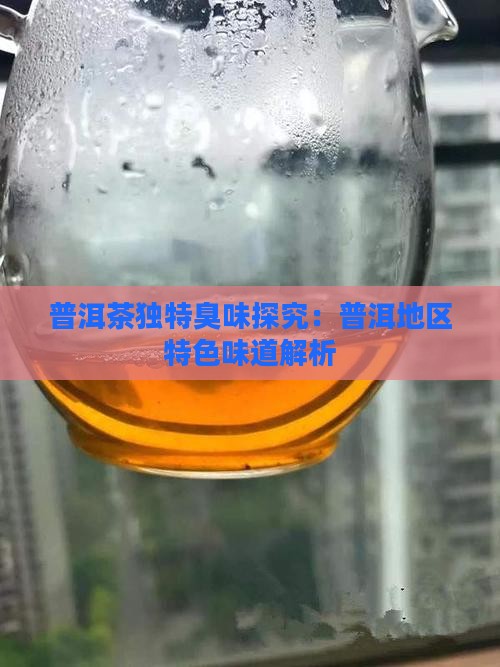 普洱茶独特臭味探究：普洱地区特色味道解析