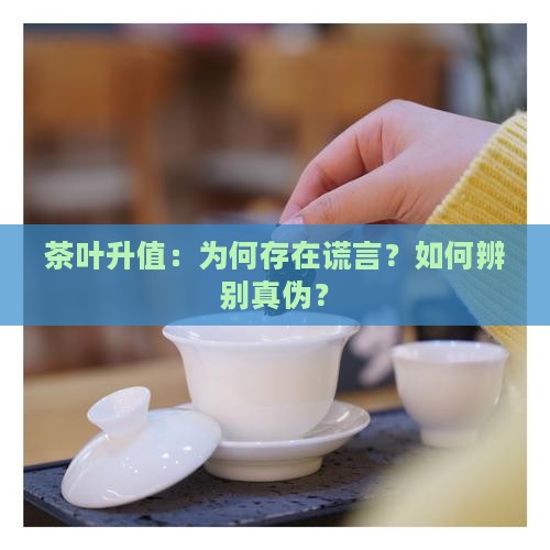 茶叶升值：为何存在谎言？如何辨别真伪？