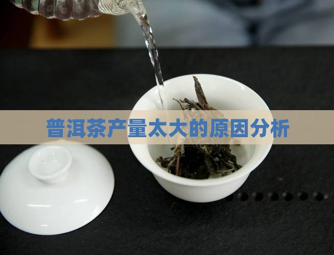 普洱茶产量太大的原因分析