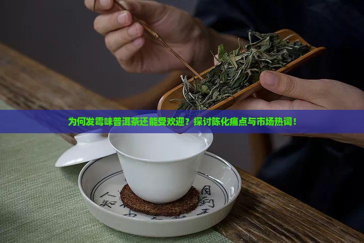 为何发霉味普洱茶还能受欢迎？探讨陈化痛点与市场热词！