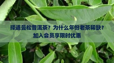 择道曼松普洱茶？为什么年份老茶稀缺？加入会员享限时优惠