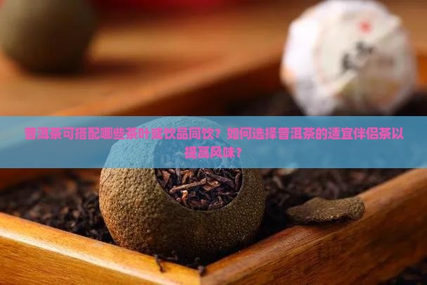 普洱茶可搭配哪些茶叶或饮品同饮？如何选择普洱茶的适宜伴侣茶以提高风味？